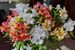 Tử vi hôm nay ngày 23/3/2023 của 12 cung hoàng đạo
