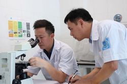 Hà Tĩnh: Phát hiện trên 120 người bị viêm da do bọ chét đốt