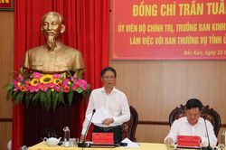 Bắc Kạn tập trung phát triển kinh tế rừng bền vững