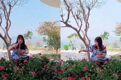 Mãn nhãn vườn hoa rực rỡ trong biệt thự mới của Mạnh Trường