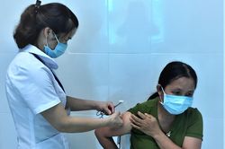 Những cái chết thương tâm do bệnh dại từ quan niệm sai lầm