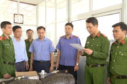 Tạm giữ đăng kiểm viên Trung tâm Đăng kiểm xe cơ giới Lai Châu