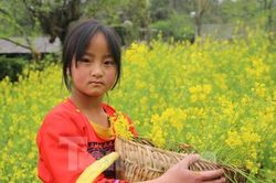 Say đắm cảnh đẹp Lai Châu lúc giao mùa