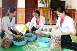 Phụ nữ dân tộc thiểu số nắm bắt cơ hội làm kinh tế