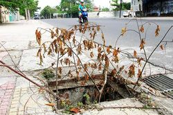 Nhiều hố ga không có nắp đậy