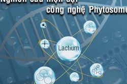 Lactium và Melatonin từ công nghệ Phytosome – Bộ đôi hoạt chất chăm sóc sức khỏe người Việt