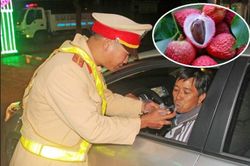 Ăn trái cây lên men, uống thuốc siro có 'dính' lỗi nồng độ cồn?