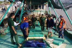 Bắt giữ phương tiện vận chuyển 40.000 lít dầu DO trái phép
