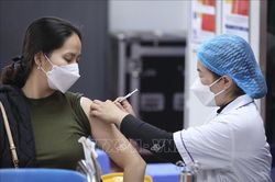WHO: Việt Nam đang trong giai đoạn 'quản lý bền vững' đối với dịch COVID-19