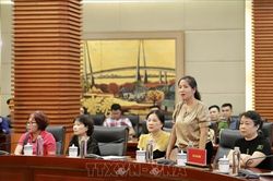 Chợ Tam Bạc cháy do chập điện, không có dấu hiệu bị phá hoại