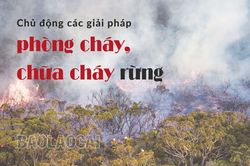 Chủ động các giải pháp phòng cháy, chữa cháy rừng