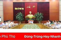 Hội nghị Ban Thường vụ Tỉnh ủy