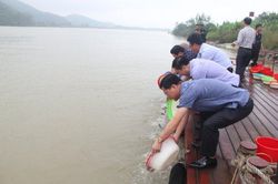 Thả cá giống tái tạo nguồn lợi thủy sản