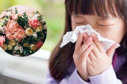 Ai dễ bị dị ứng phấn hoa, điều trị thế nào?