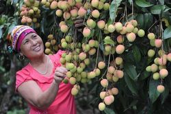 Bắc Giang: Phát huy nội lực vươn lên thoát nghèo bền vững