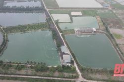 Thọ Xuân: Diện tích nuôi thủy sản đạt khoảng 930ha