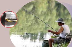 Nhặt được 'con tằm', lão nông được trả giá 68 triệu, chuyên gia khẳng định 34 tỷ
