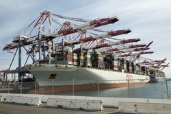 Cước container giảm mạnh giúp các chủ hàng Mỹ tiết kiệm một khoản khổng lồ