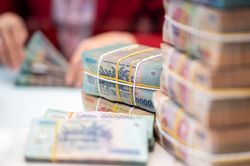Lao động Nghệ An xuất ngoại gửi về nước nửa tỷ USD mỗi năm