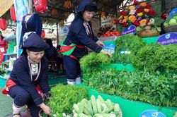 Kết nối tiêu thụ nông sản cho phụ nữ, nữ thanh niên dân tộc thiểu số