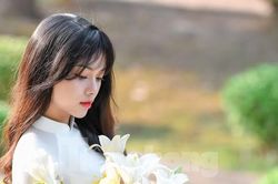 Hoa loa kèn xuống phố dịu dàng tinh khôi gọi tháng tư về