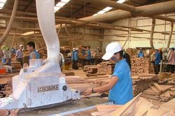 Hoa Kỳ gia hạn thời hạn kết luận lẩn tránh thuế chống bán phá giá gỗ dán nhập khẩu từ Việt Nam