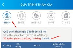 Ứng dụng VssID bổ sung tính năng hiển thị thời gian chưa đóng bảo hiểm