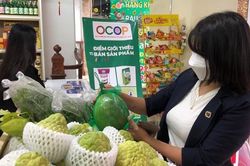 Lực đẩy cho sản phẩm OCOP