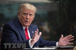 Nghị sỹ Mỹ: Nên để Bộ Tư pháp xét xử vụ kiện cựu Tổng thống Trump