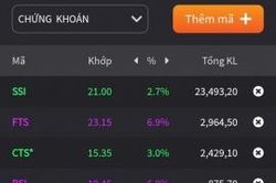 Cổ phiếu chứng khoán hút dòng tiền, tăng mạnh