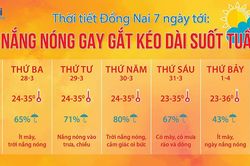 Nắng nóng gay gắt kéo dài suốt tuần