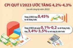 Kiểm soát lạm phát theo mục tiêu, CPI mỗi tháng còn dư địa tăng 0,52%