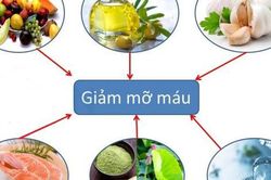 4 chìa khóa quan trọng giúp giảm mỡ máu xấu, bạn đã biết để chủ động phòng bệnh?