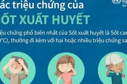WHO hướng dẫn nhận biết triệu chứng và điều trị bệnh sốt xuất huyết