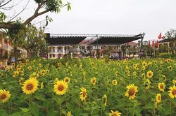 Mê mẩn ngôi trường rực rỡ sắc hoa ở Hà Tĩnh