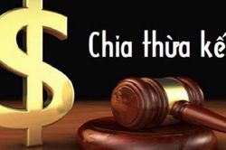 Chị gái kiện chia thừa kế đất bố mẹ tặng cho em trai được không?
