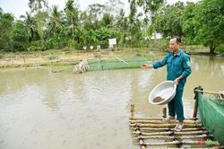 'Sao vuông' giúp nhau phát triển kinh tế
