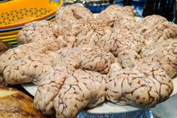 5 món ăn kinh dị nhất Maroc khiến du khách chỉ dám đứng nhìn