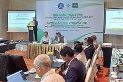 Hiện đại hóa sản xuất lúa gắn với tăng trưởng xanh