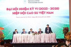 Tăng năng lực cạnh tranh cho cao su Việt Nam trên thị trường quốc tế