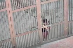 Cô bé nhỏ xíu cứ bị mẹ mắng là... bỏ về nhà ngoại khiến mẹ bất lực: Ai bảo lấy chồng gần là sướng!
