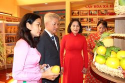 Huyện Xuân Lộc công bố 9 xã đạt chuẩn nông thôn mới nâng cao, kiểu mẫu