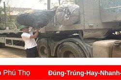 Biến rác thành tiền