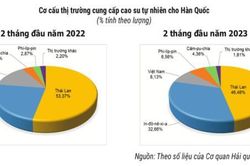Cao su Việt Nam mất thị phần ở thị trường Hàn Quốc