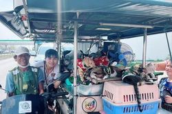 Cổ tích giữa đời thực gây xúc động: Người đàn ông 'phiêu lưu' cùng 11 chú mèo hoang