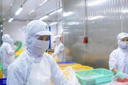 Xuất khẩu cá ngừ: Tận dụng lợi thế của những thị trường nhỏ