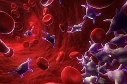 Thực phẩm bạn nên ăn khi bị giảm tiểu cầu