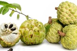 Ăn na vô cùng tốt cho sức khỏe?