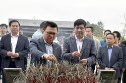 Tổng Biên tập Báo Nhân dân Lê Quốc Minh dâng hương tưởng niệm các liệt sĩ Điện Biên