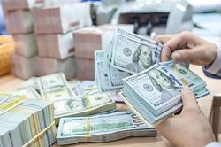 Tỷ giá hôm nay (29/3): USD trung tâm giảm nhẹ